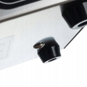 Generator ozonu BIGSTREN GENERATOR OZONU OZONATOR 48 G/H (48000 mg/H)+ CZASOMIERZ 60min 6