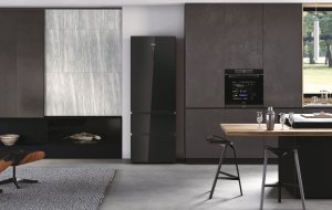 Lodówka Haier Haier HTW7720DNGB 10