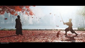 Ghost of Tsushima - Directors Cut (PS5) 3