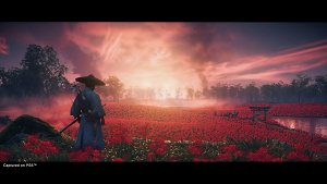 Ghost of Tsushima - Directors Cut (PS5) 8