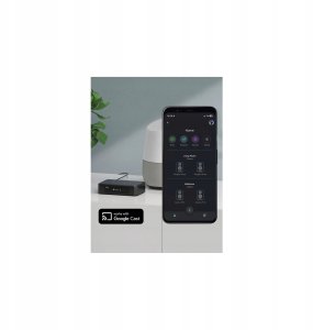 Arylic Arylic LP10 - Streamer audio AirPlay 2 i Google Cast 5