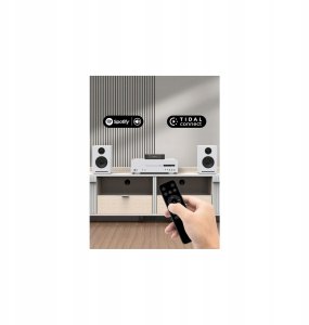 Arylic Arylic LP10 - Streamer audio AirPlay 2 i Google Cast 6