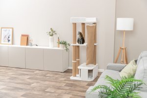 Trixie Active, drapak stojący, dla kota, biały, 150 cm 3