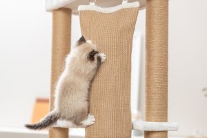 Trixie Active, drapak stojący, dla kota, biały, 150 cm 4