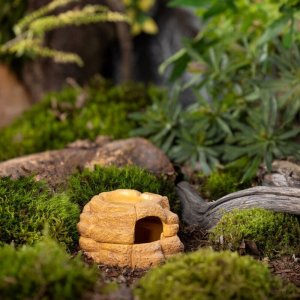 Exo Terra Big Rock, kryjówka z miską, do terrarium, ceramiczna, S, 11x13x8 cm, 20 ml 4