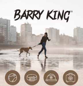 Barry King Grzebień dla zwierząt, z rączką, szary, 40 zębów, 5 x 22 cm 3