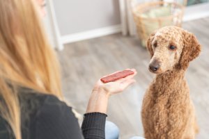 Trixie PREMIO Filets, przysmak, dla psa, wołowina, 80 g 7