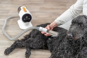 Maszynka do strzyżenia psa Trixie Zestaw do strzyżenia z odkurzaczem, 2 l, 600W 10