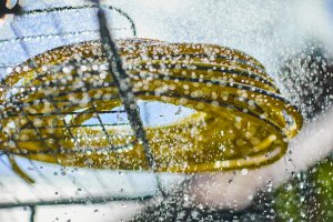 Agaplast Wogrodowy VartcoLightPlus1" 20m 12