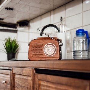 Radio Retoo Radio FM z Bluetooth / Radio FM with bluetooth CZERWONE 7