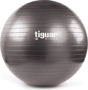 Tiguar Piłka gimnastyczna z wypełnieniem Body Ball 3S 70cm szara 1