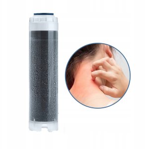 Dafi FILTR WODY WSTĘPNY CAŁY DOM SIATKA + BLOK WĘGLOWY 3