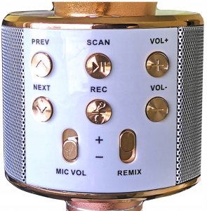 Mikrofon Xrec Mikrofon KARAOKE GŁOŚNIK WS858 BLUETOOTH RÓŻOWY Efekt Echo Dla Dzieci 3