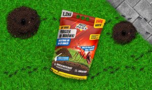 NO PEST PROSZEK ŚRODEK PREPARAT TRUTKA NA MRÓWKI NO PEST 1,2KG LIKWIDUJE GNIAZDA 15