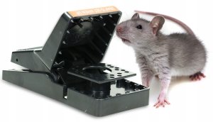 NO PEST SKUTECZNA PUŁAPKA ŁAPKA GILOTYNA NA MYSZY SZCZURY GRYZONIE MYSZOŁAPKA 7