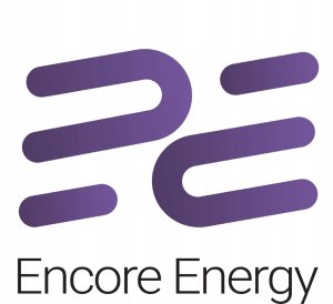 Zasilacz do laptopa Ultra Parts Zasilacz Encore Energy do Lenovo 135W wtyk prostokątny Slim Tip 6