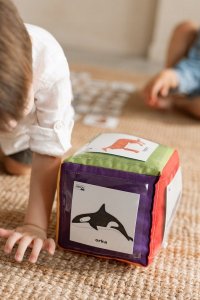 Akson Zestaw kostka edukacyjna z kieszeniami + 78 kart 3