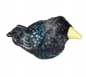 Ranok Maskotka Szpak z dzwiękiem 2