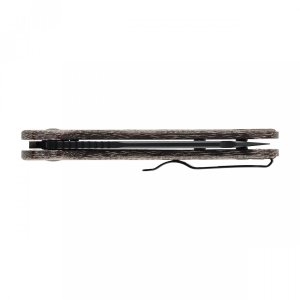 Kizer Nóż składany Kizer C01C 2.9 BS Ki3488.29BSA2 5