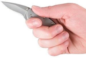 Kershaw Nóż składany Kershaw Chive 1600 3