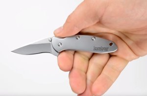 Kershaw Nóż składany Kershaw Chive 1600 4