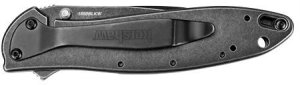 Kershaw Nóż składany Kershaw Leek 1660BLKW 2