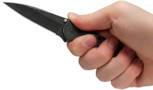 Kershaw Nóż składany Kershaw Leek 1660BLKW 3