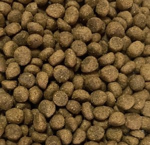 Nutra Gold Gold Dog Snocerek Adult Beef & Salmon 5kg 3