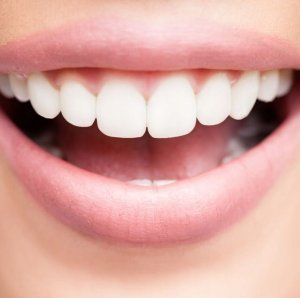 Vitis VITIS GINGIVAL ZESTAW PODRÓZNY 3