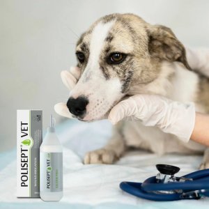 Sante POLISEPT VET WOUND IRRIGATION SILVER PRO  płyn do irygacji ran dla psa i kota 500 ml 3