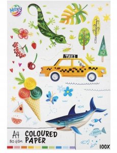 Canson CCG kolorowy blok A4 100ark 110005 48366 6