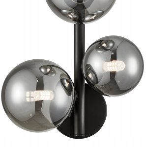 Natur Planet NATUR PLANET_SET duet idealny Drzewo Herbaciane 3