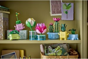 LEGO Botanicals Bujające się roślinki (11506) 9