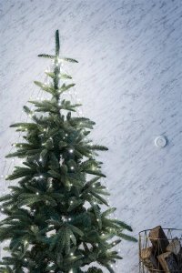 Lampki choinkowe Markslojd Łańcuch bożonarodzeniowy z lampkami 703768 Markslojd 240 LED 5m ciepła 2