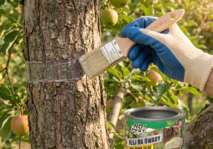NO PEST Klej na Owady Mszyce Ziemiórki Mrówki Muchy Szkodniki Roślin do Drzew Doniczek "Bug Bond Glue" 200ml 7