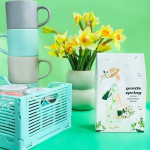 Cup&You Zestaw 10 wiosennych herbat sypanych z zaparzaczem "GENTLE SPRING" - box prezentowy upominkowy dla kobiety babci mamy koleżanki przyjaciółki 7