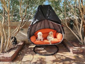 xxxxxxxxxxxxxxxx Verk Group (Verk) Pokrowiec na fotel wiszący kokon huśtawkę ogrodową wodoodporny osłona etui 2