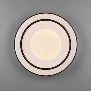 Lampa sufitowa RL Light Plafon z funkcją RGB Arco R65091032 RL Light LED 22W 2700-6000K czarny 4