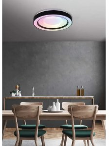 Lampa sufitowa RL Light Plafon z funkcją RGB Arco R65091032 RL Light LED 22W 2700-6000K czarny 9