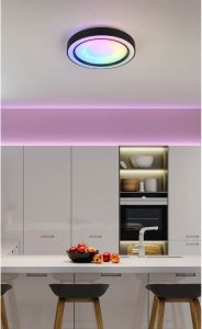 Lampa sufitowa RL Light Plafon z funkcją RGB Arco R65091032 RL Light LED 22W 2700-6000K czarny 10