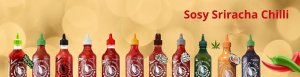 Flying Goose Ostry sriracha sos 61% chilli z soju marynata dip flying goose 455ml 2