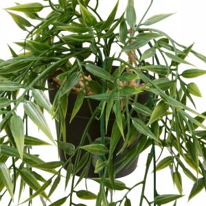 Atmosphera Bambus wiszący w doniczce LIORA, 67 cm 3
