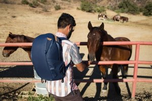 Plecak turystyczny Peak Design Plecak PEAK DESIGN Everyday Backpack 20L Zip - Niebieski - EDLv2 7