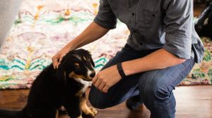 Smartband Fitbit Opaska fitness monitor aktywności Charge Fitbit Black roz. XL 8