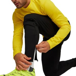 Puma Spodnie męskie Puma Team Goal Slim Training czarne 659037 03 2XL 6