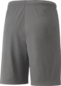 Puma teamLIGA szare 704924 13 L 2