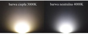 Lampa sufitowa TEAM Ledowy plafon do salonu CLEO 500 1307623600622 LED 69W 4000K szary 5