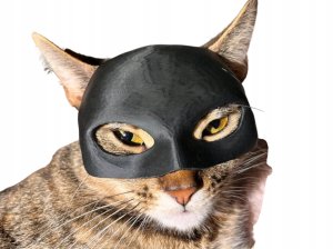 Aster Maska dla Kota BATMAN BAT-CAT Przebranie dla kota na halloween 3