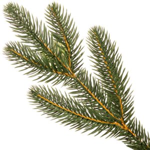 Springos Choinka sztuczna 210 cm sosna zielona PE Royal Trees premium drzewko świąteczne jak żywe UNIWERSALNY 28