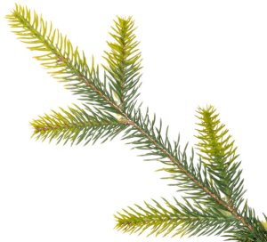 Springos Choinka sztuczna na pniu 220 cm ze stojakiem nowoczesny UNIWERSALNY 11
